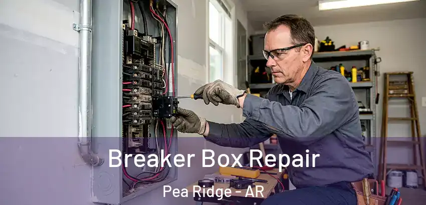  Breaker Box Repair Pea Ridge - AR