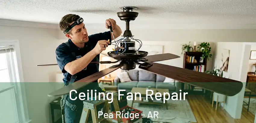  Ceiling Fan Repair Pea Ridge - AR