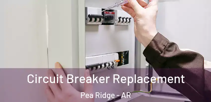 Circuit Breaker Replacement Pea Ridge - AR
