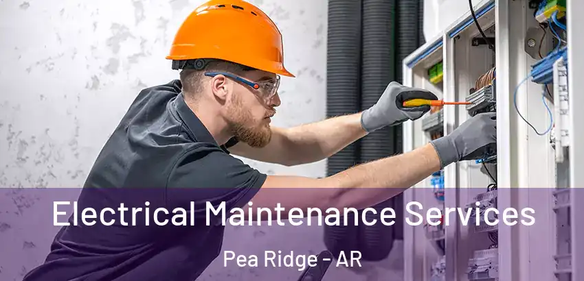 Electrical Maintenance Services Pea Ridge - AR