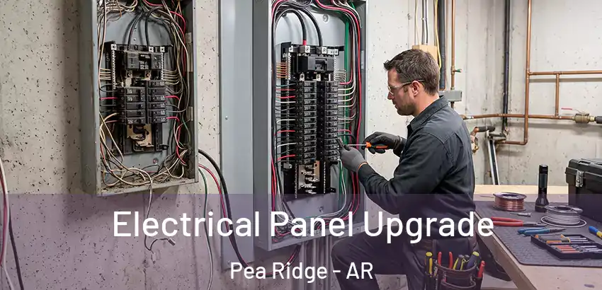 Electrical Panel Upgrade Pea Ridge - AR