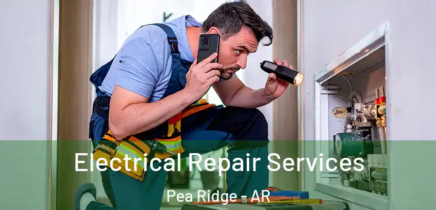 Electrical Repair Services Pea Ridge - AR