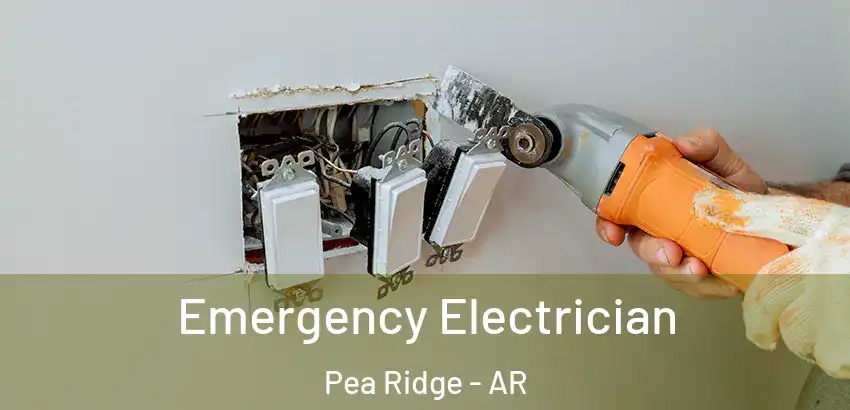  Emergency Electrician Pea Ridge - AR