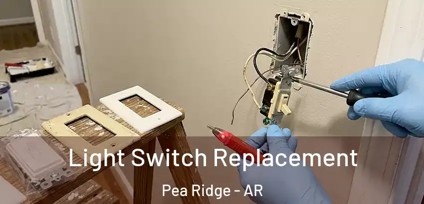  Light Switch Replacement Pea Ridge - AR