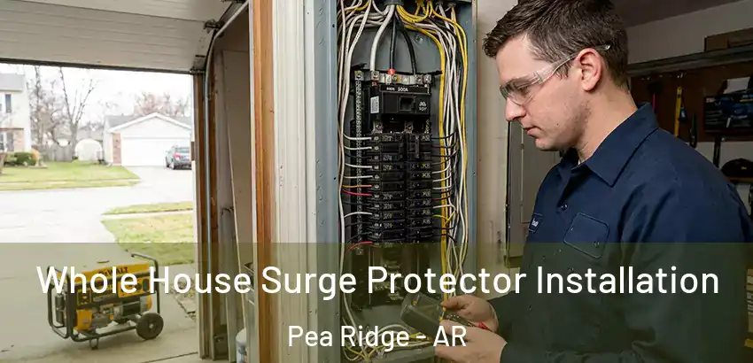 Whole House Surge Protector Installation Pea Ridge - AR
